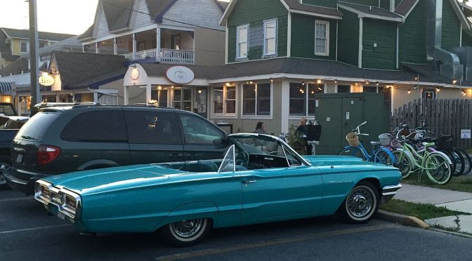 Spotting from Memorial Day Weekend in Rehoboth Beach, DE