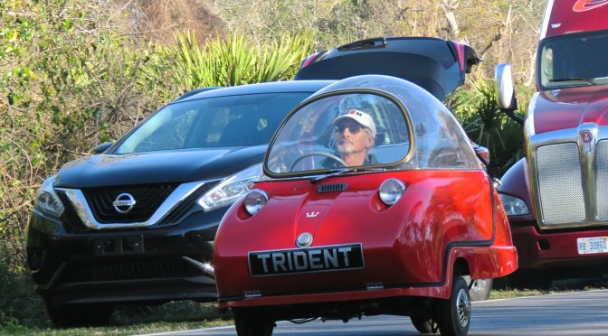 A Tiny Peel Trident Spotted at Amelia Island