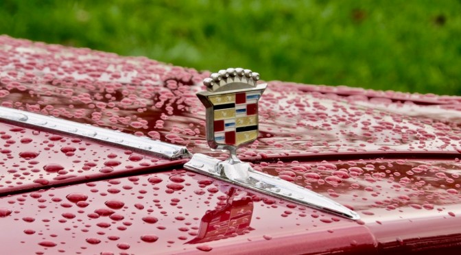 1981 Cadillac V8-6-4 in the AACA Hershey Car Corral